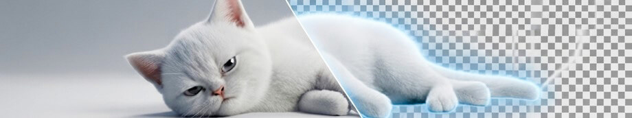 AI Background Removal Preview